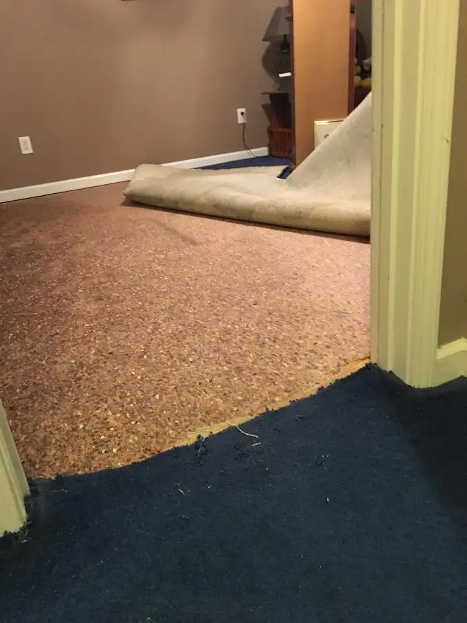 Carpet pad removal revealing water damage during Drying & Dehumidification in Mount Prospect