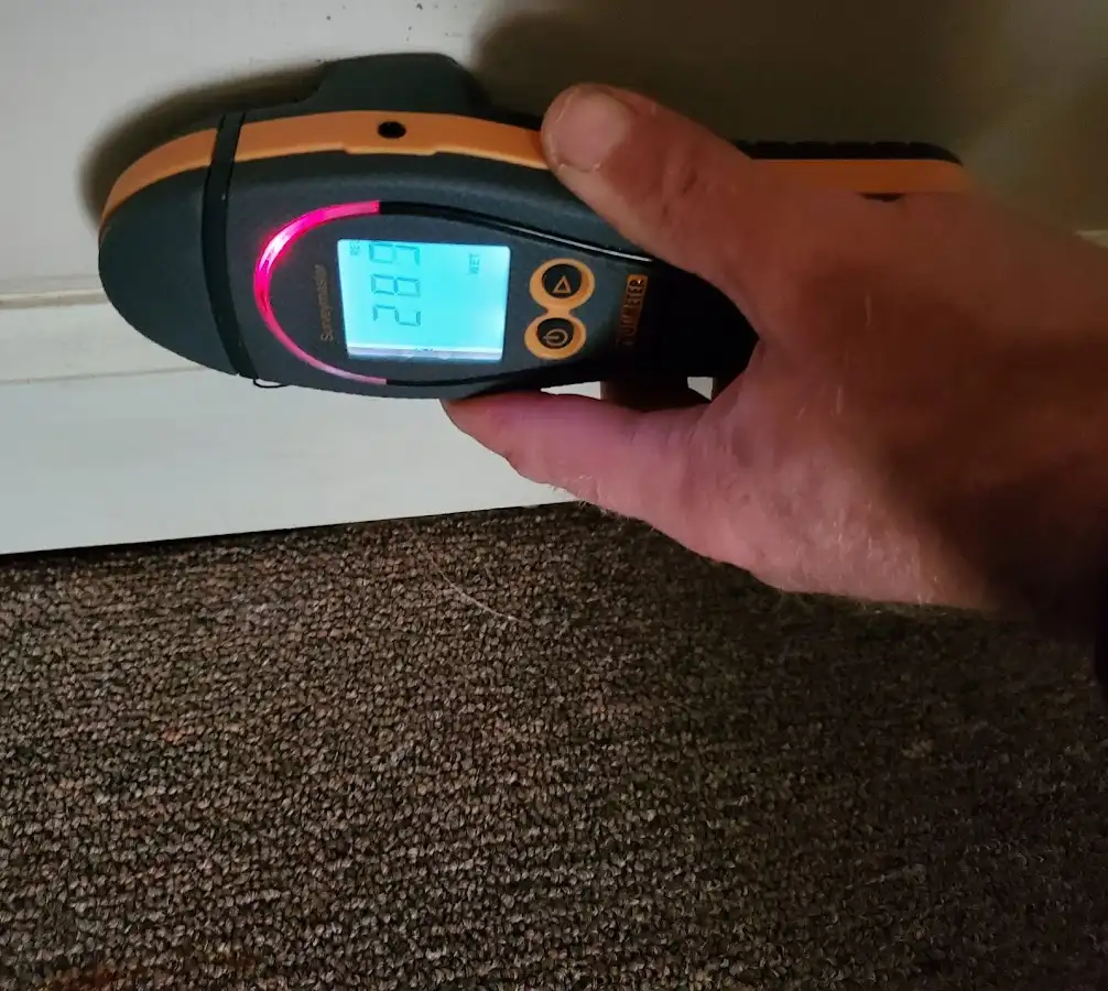 Moisture detection at baseboard during Mold Inspection & Testing in Mount Prospect
